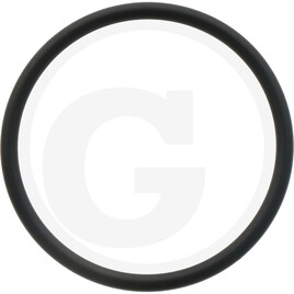 RIV O-ring