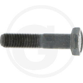 Carraro SELF-LOCKING SCREW M14X1.5X65 10.9