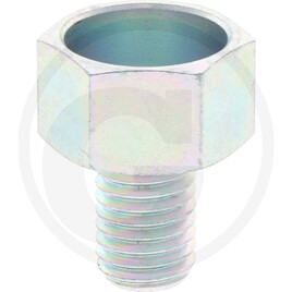 Carraro Steel screw, threaded, pressed, with ext
