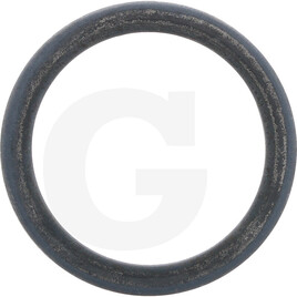 Carraro Washer