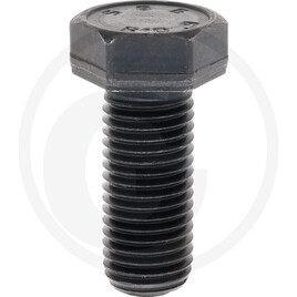 Carraro SELF-LOCKING SCREW M16X2X38 10.9 A