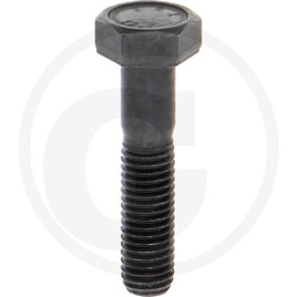 Carraro SELF-LOCKING SCREW M10X45 10.9 ACC