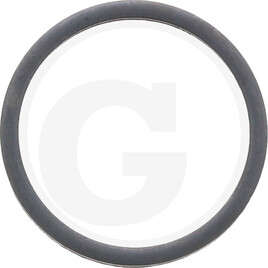 Carraro Thrust washer