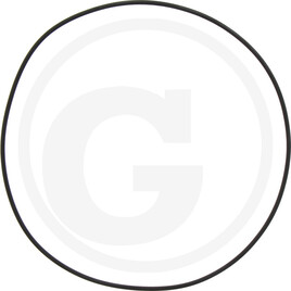 Carraro O-RING 209.14X3.53 VITON