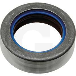 Carraro Sealing ring