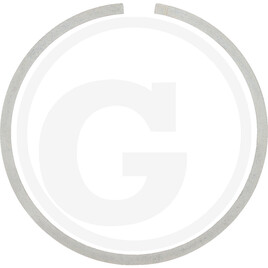 Carraro ROTARY SEAL RING D55