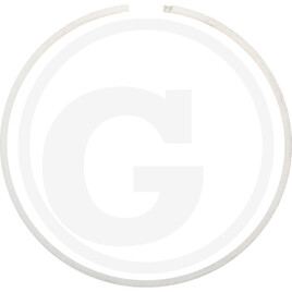 Carraro ROTARY SEAL RING D138