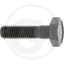 Carraro SELF-LOCKING SCREW M12X45 10.9 ACC