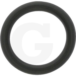 Carraro O-RING 2037 9.25X1.78 VIT