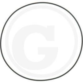 Carraro O-RING 202.79X3.53 VITON