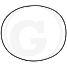 Carraro O-RING 2-378 266.07X5.33
