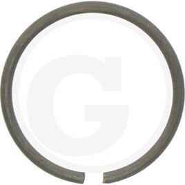 Carraro RING 38.5X3