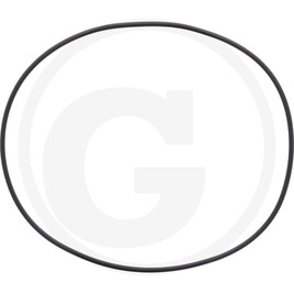 Carraro Sealing ring made of soft rubber