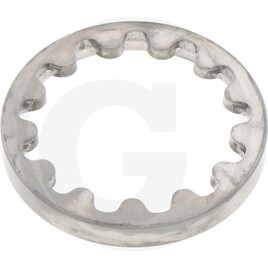 Carraro TOOTH LOCK WASHER 47X54X7