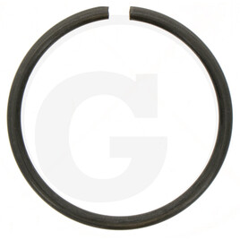 Carraro RING 41.5X3 F3