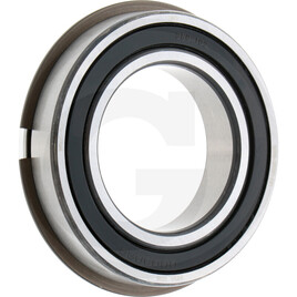 Carraro Bearing