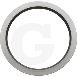 Carraro Thrust washer
