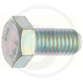 Carraro Hexagon head screw