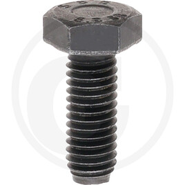 Carraro Hexagon head screw