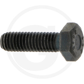 Carraro Screw