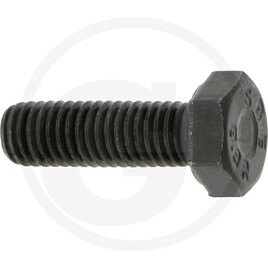 Carraro Hexagon head screw