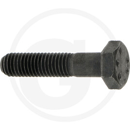 Carraro Hexagon head screw