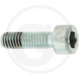Carraro Screw
