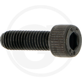 Carraro Hexagon head screw