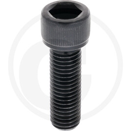 Carraro HEX SOCKET HEAD CAP SCREW