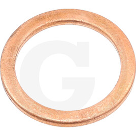 Carraro SEAL WASHER DIN 7603 18X2