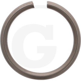 Carraro RING DIN 7993 RW20