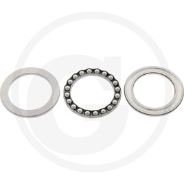 Carraro Bearing