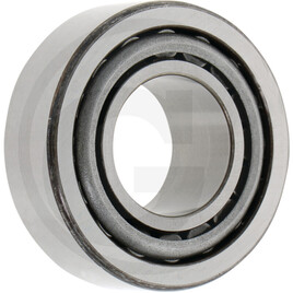 Carraro Bearing