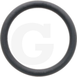 Carraro O-RING 3081 2-117 20.24x2.62