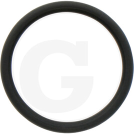 Carraro O-ring