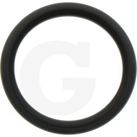 Carraro O-RING 4100 24.99x3.53