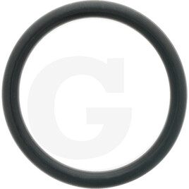 Carraro O-RING 2-217 4118 29.75X3