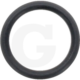 Carraro O-RING 114 (5-613)