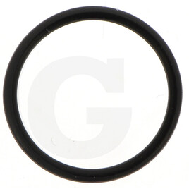 Carraro O-RING 2075 018 18.77X1.7
