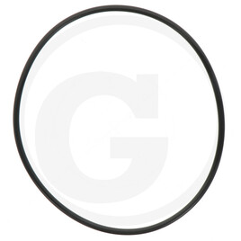 Carraro O-RING 4450 2-246 113.89x3.53