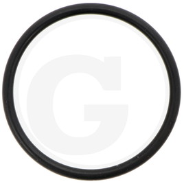 Carraro O-RING 3137 2-126 34.6x2.62 -