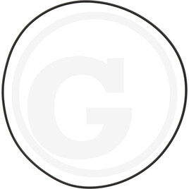 Carraro O-RING 2-48 2475