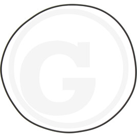 Carraro O-RING 183.82X2.62 GOMMA