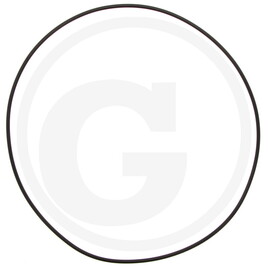 Carraro O-RING 4900 2-270 228.19x3.53