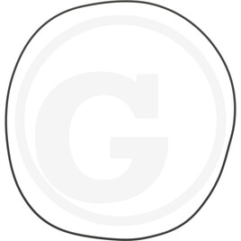 Carraro O-RING 41300 2-279 329.8x3.53 NITRILICO