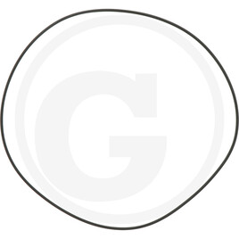 Carraro O-RING 41000 2-274 253.59x3.53