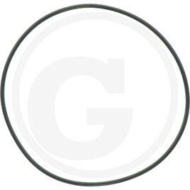Carraro O-RING 2-253 4537