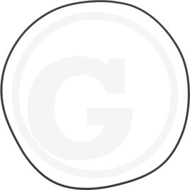 Carraro O-RING 41100 2-276