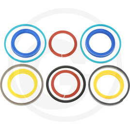 Carraro Radial seal ring