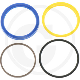 Carraro Seal kit
